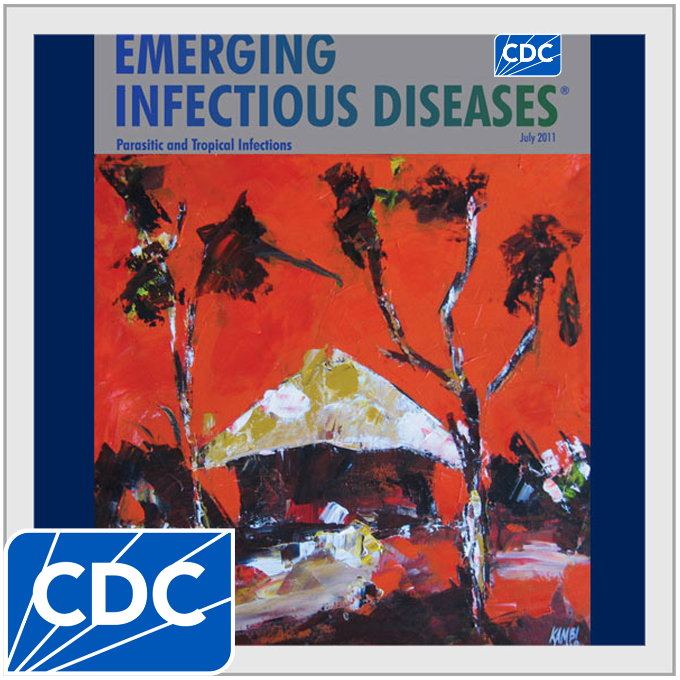 Emerging Infectious Diseases Artwork