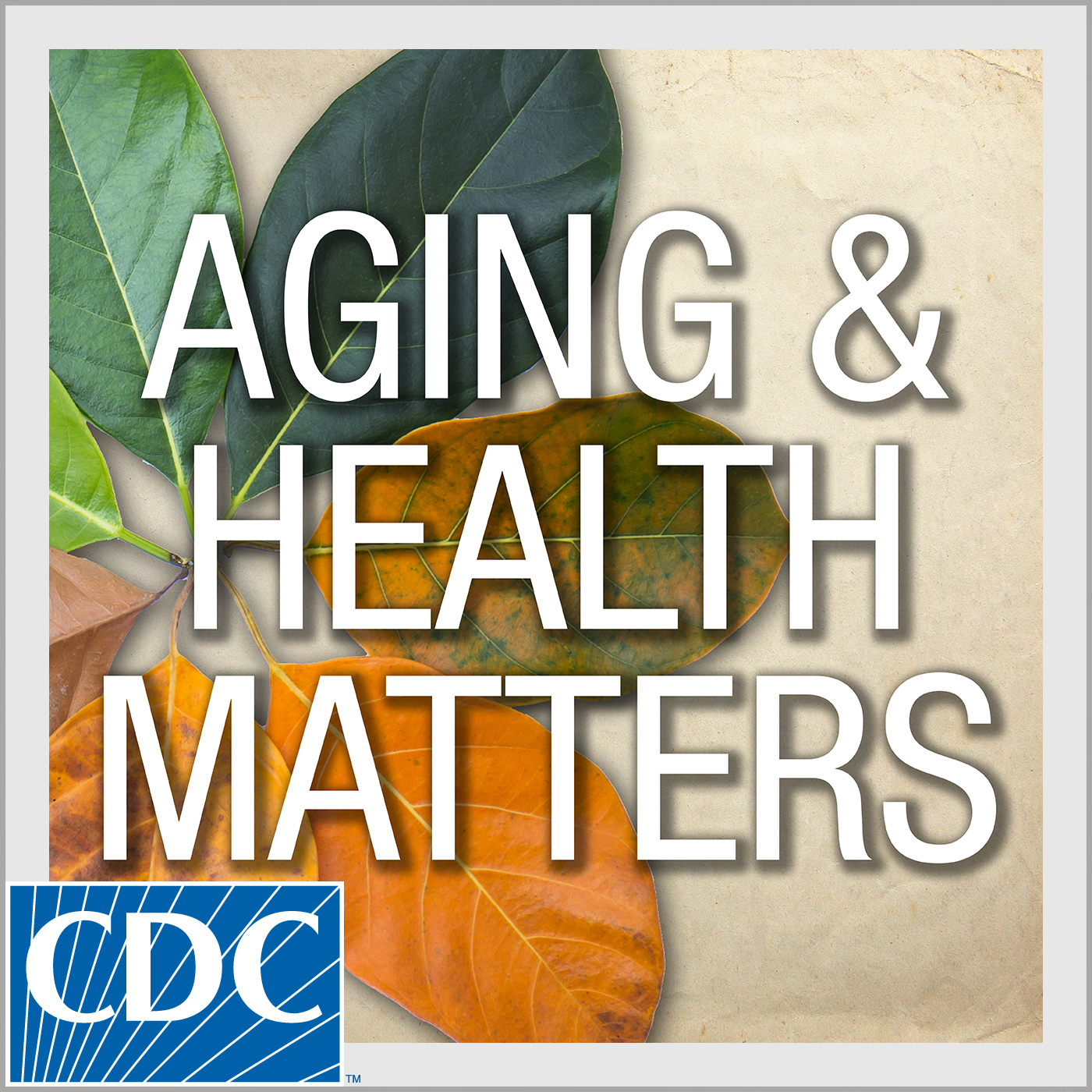 Health Literacy in Older Adults
