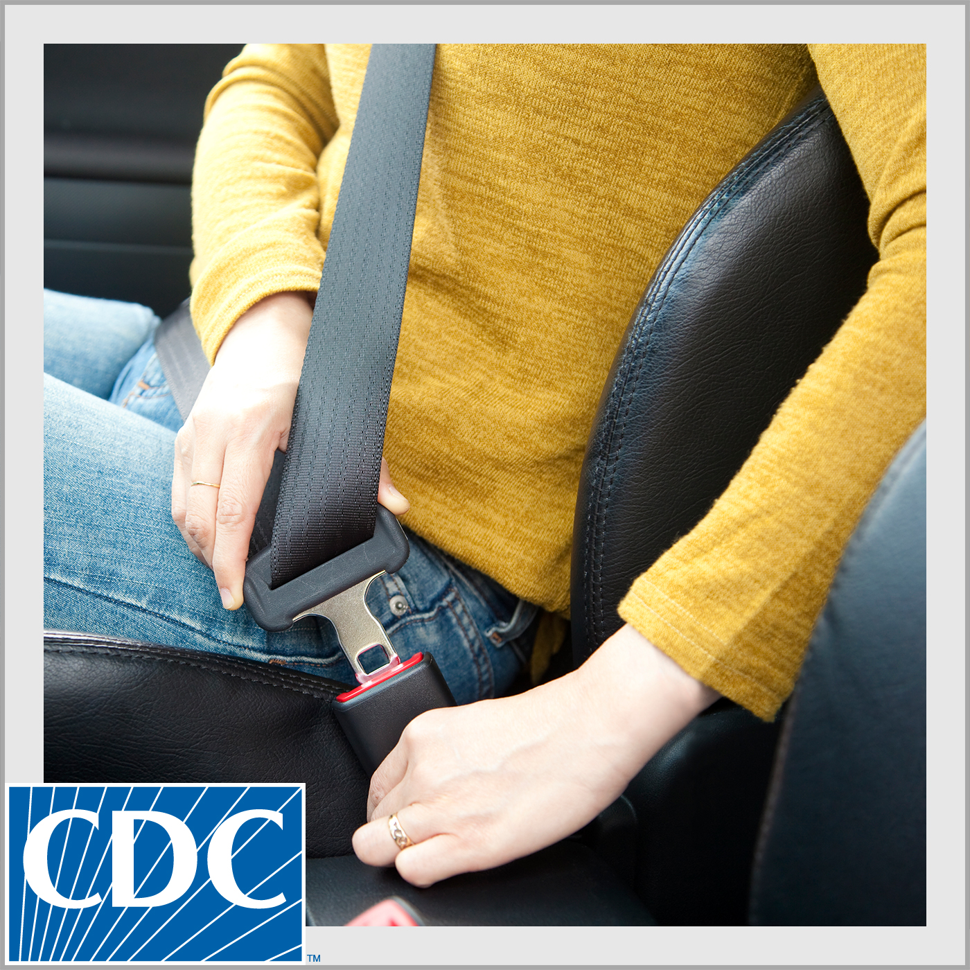 Abróchese el cinturón de seguridad (Buckle Up)