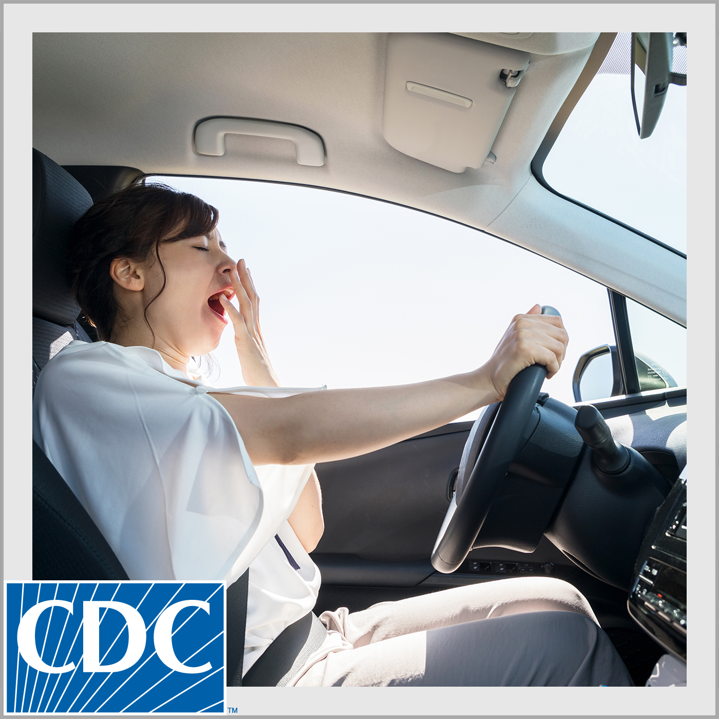 Manténgase despierto cuando esté al volante (Stay Awake Behind the Wheel)