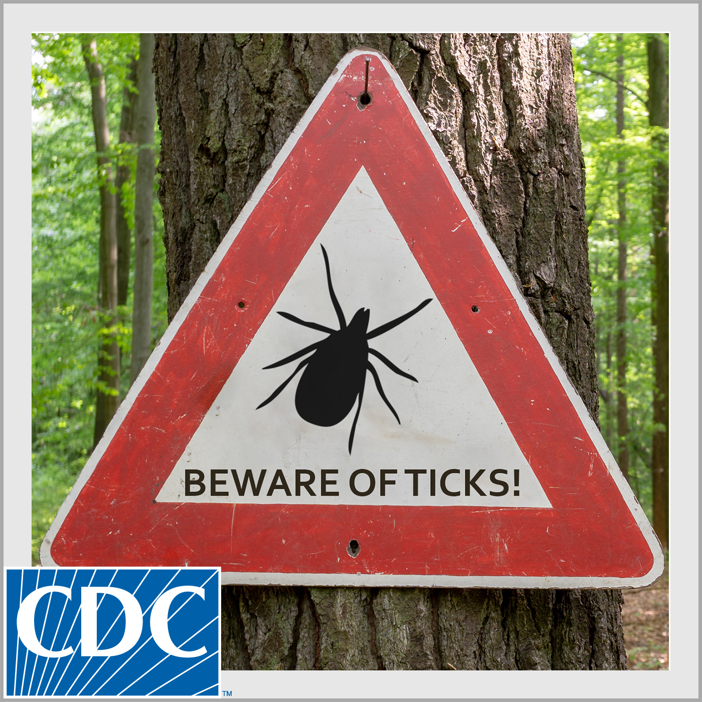 Preventing Tick Bites and Tickborne Diseases - CDC Featured Podcasts ...