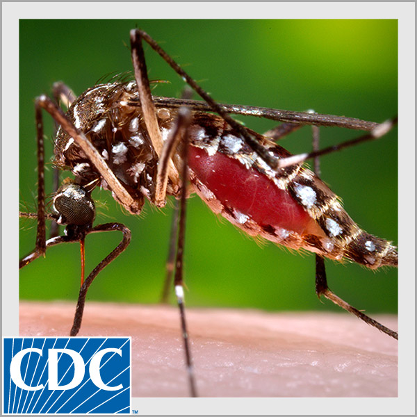 Prevención del zika: Colabore (Zika Prevention: Do Your Part)