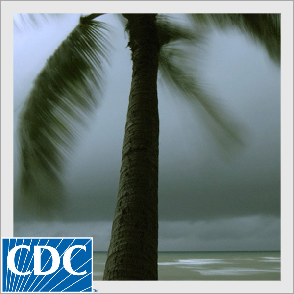 Hurricane Logo (600W x 600H):Hurricane Logo